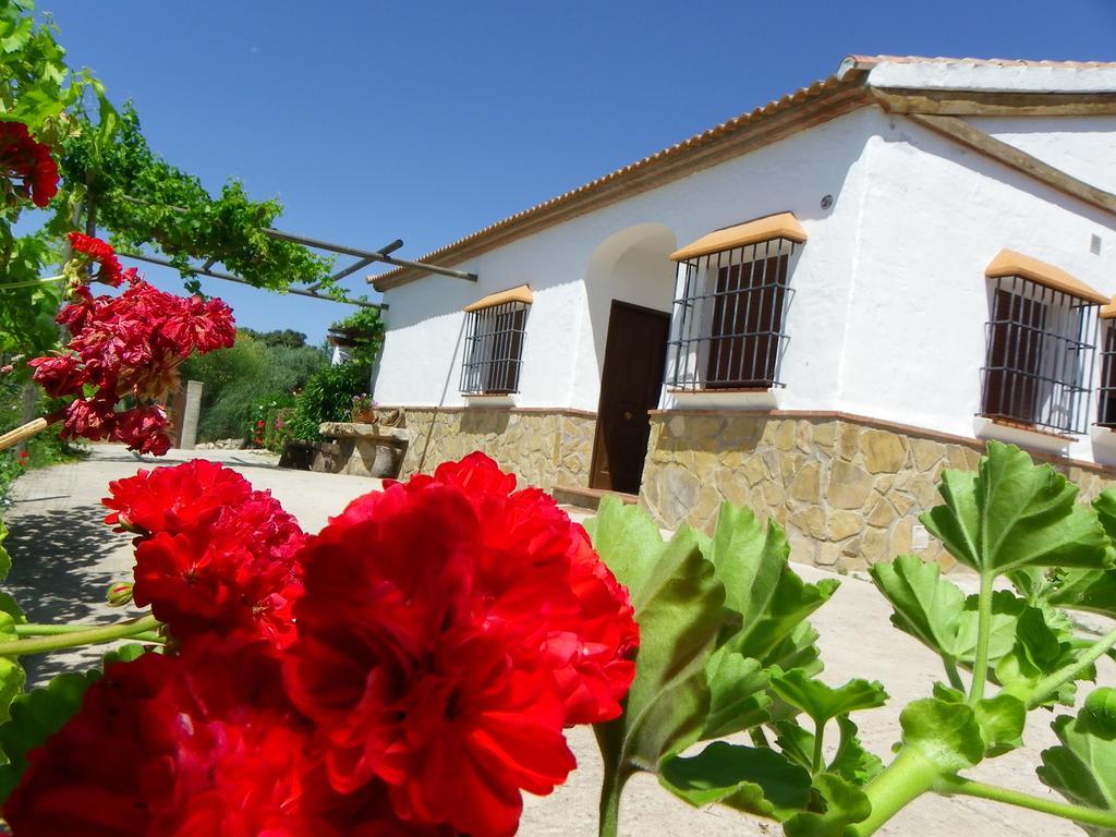Casa Rural La Parada La Joya Bagian luar foto